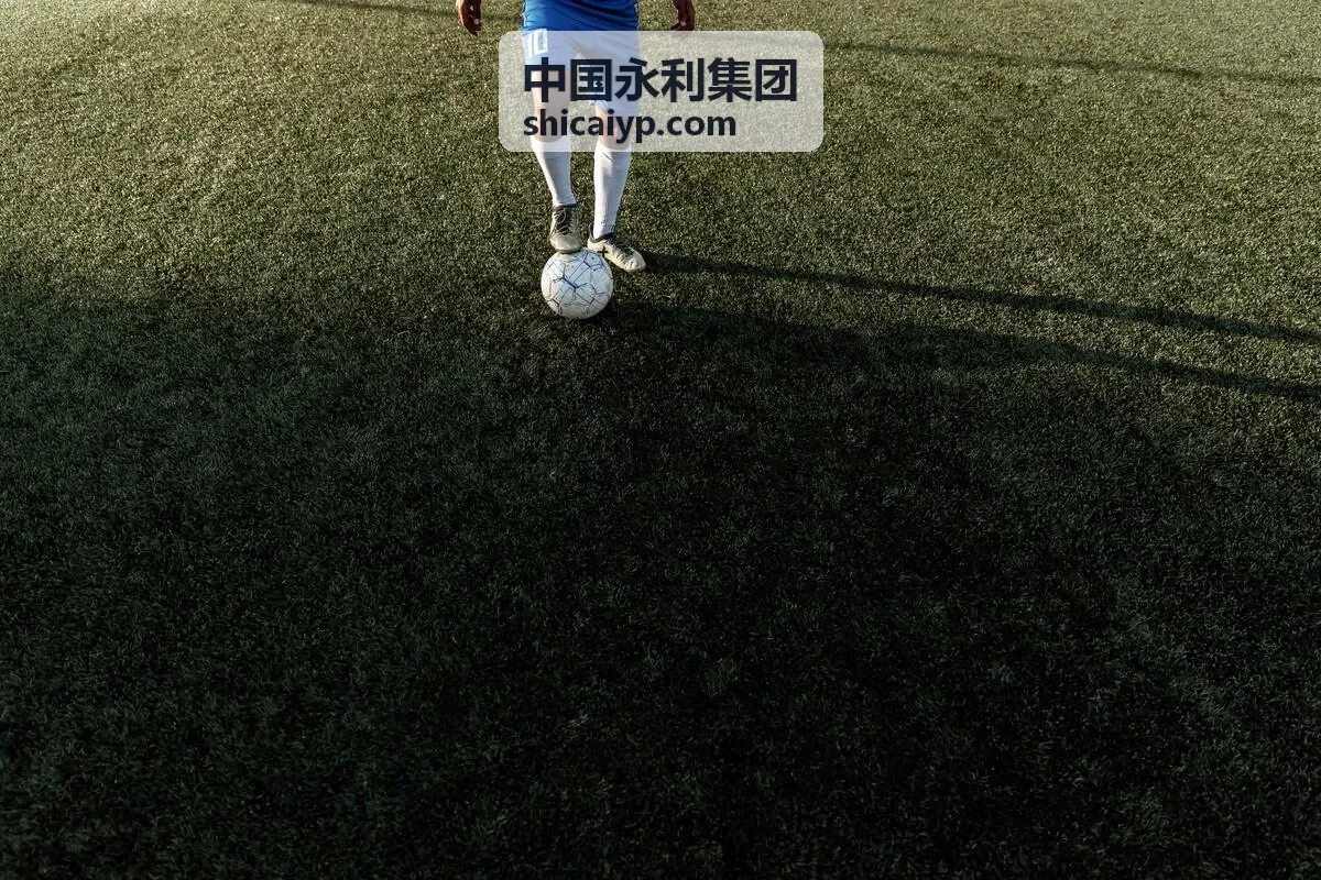 中国永利集团供应链优化